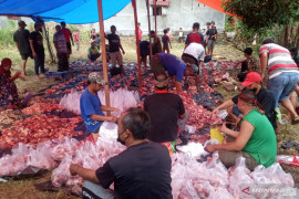 Melestarikan tradisi makan bersama disela penyembelihan hewan kurban oleh warga LDII Agam