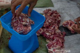 Penyembelihan Hewan Kurban saat PPKM Mikro