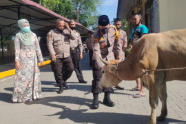 Polres Langkat sembelih hewan kurban tujuh ekor sapi dan dua ekor domba