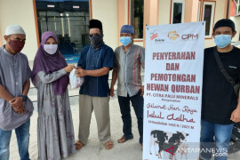 CPM bersama warga sekitar tambang  sembelih 11 hewan kurban