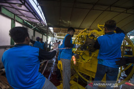 Pemotongan Hewan Kurban Di Banjarmasin
