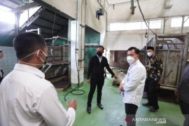 RPH Bubulak Kota Bogor terima order pemotongan 400 hewan kurban