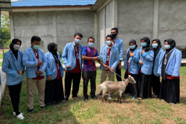 Kukerta UNRI bantu satu ekor kambing ke Masjid Al Ikram sungai Pakning