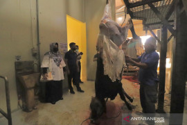 Sebagian daging kurban ASN Payakumbuh disiapkan sebagai cadangan bantuan bencana
