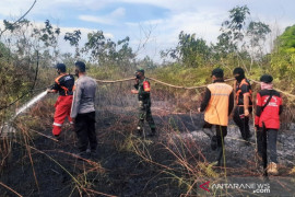 BPBD Penajam ingatkan kerawanan kebakaran pada lahan gambut