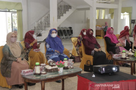 Webinar PKK HSS ingatkan pentingnya merawat dan menjaga organ intim