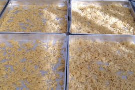 PTPN XI kembangkan beras pisang di Lumajang