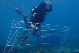 PLN Group bersama BPSPL Denpasar dan Pokmaswas tanam 1.000 bibit karang di laut Pandanan KLU