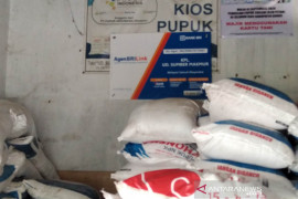 Kudus peroleh tambahan alokasi pupuk urea bersubsidi