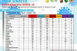Dinkes Papua kontrak 350 orang nakes atasi kekurangan akibat COVID-19