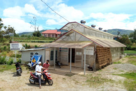 Petani di Sungai Nanam keluhkan harga bawang merah anjlok