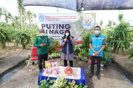 Program Puting Sinaga Banyuwangi masuk Top-99 Sinovik Kementerian PAN-RB