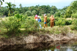 Jika terbukti buang limbah, DLH Agam bakal hentikan operasional PT BSS