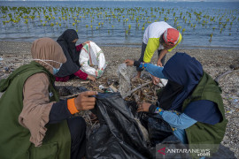 AKSI PUNGUT SAMPAH PLASTIK DI PANTAI Page 1 Small