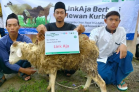 LinkAja bersama Dompet Dhuafa berbagi hewan kurban