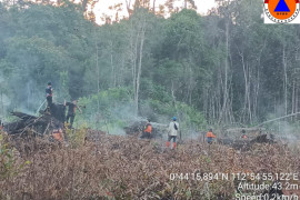BNPB ingatkan provinsi rawan untuk lakukan pencegahan dini karhutla