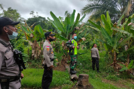 TNI/Polri patroli perbatasan RI-Papua Nugini untuk tunjukkan soliditas