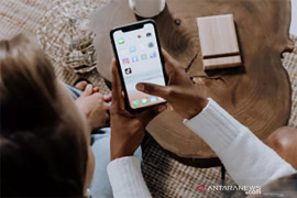 Artikel - Digipay solusi digital penyelamatan keuangan negara dan Program PEN