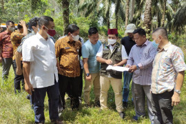 Wabup Pelalawan tinjau perbaikan jalan di Bandar Petalangan