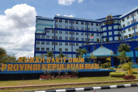 Gubernur Kepri desaj Kemenkes lunasi biaya pasien COVID-19 di RSUP
