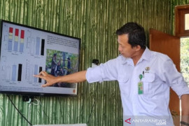 Balai dalami laporan pencurian terumbu karang di kawasan TN Komodo