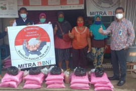 BNI Pontianak maksimalkan agen46 untuk penyaluran Bansos di Kubu Raya