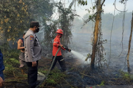 Pemkab Siak dan CIFOR riset aksi partisipatif cegah karhutla