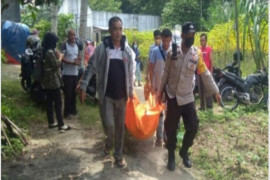 Seorang kakek tewas disengat tawon di Tebing Tinggi