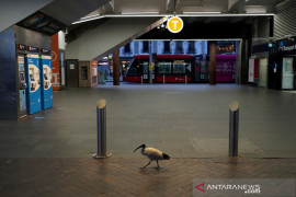 Wabah COVID-19 di Australia meluas