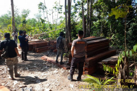 Polda Jambi tangkap dua terduga pelaku pembalakan liar di hutan Reki