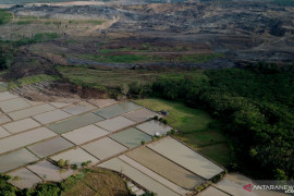 Walhi Kalsel soroti peristiwa tanah bergerak di Tapin