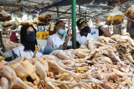 Sejumlah bahan pokok di Paser alami penurunan harga selama PPKM