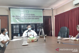 Festival Panen Rakyat Kayong Utara tingkatkan ekonomi petani durian