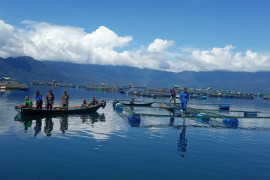 Bau balerang sekitar Danau Maninjau resahkan warga