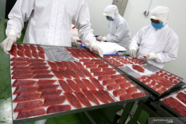 Indonesia's fish export acceptance rate reaches 98 percent: Ministry