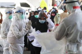 Ribuan CPNS lolos seleksi administrasi diingatkan tidak tergiur modus penipuan