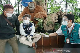 Pemerintah bantu anak-anak yang kehilangan orang tua akibat COVID