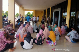 Puluhan pelamar CPNS sambangi Kantor Wali Kota Subulussalam. Ada apa?