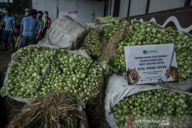 Bantuan makanan untuk satwa kebun binatang Bandung