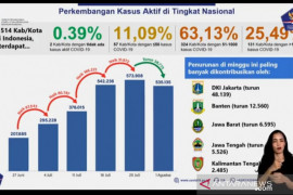 Satgas: Pertama kali kasus aktif mingguan  mengalami penurunan
