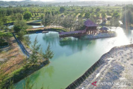 PT Timah targetkan reklamasi 402 hektare lahan bekas tambang
