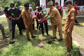 Wabup Langkat tanam seribu pohon