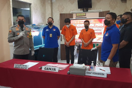 Polres Jaksel tangkap tiga tersangka dalam kasus peredaran 59,8 gram ganja