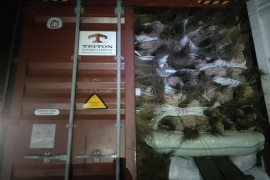 Sumut kembali ekspor lidi  kelapa sawit ke India