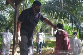 Polisi: Korban bunuh diri di Nagan Raya pemburu dari Sumatera Utara
