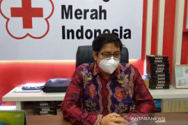 PMI Banjarmasin: darah golongan O paling banyak dicari pasein COVID-19