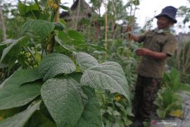 Hujan abu guyur sebagian wilayah di Kabupaten Magelang dan Temanggung