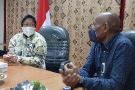 Wali Kota Jayapura BTM: Mensos janji bantu penanganan COVID-19