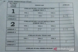 Selisih satu suara Pilkades di Pulau Bukit minta diulang