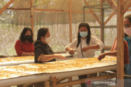Puslit Sukosari Lumajang kenalkan bahan makanan pengganti beras dari pisang